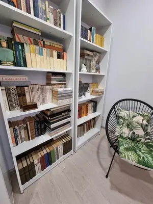 a book shelf filled with books next to a chair at Refurbished central apartment in Vilnius