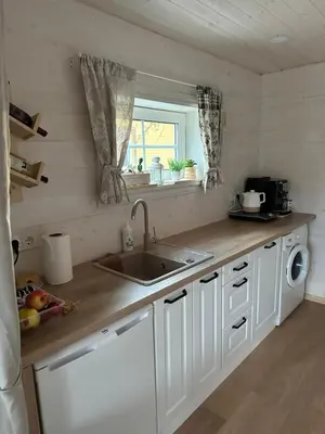 a kitchen with a sink and a washing machine at Apgyvendinimas Rokiskyje namukas Skandis in Rokiškis