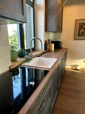 a kitchen with a sink and a counter top at Kaimukas - lake house for 15 persons 5 bedrooms in Dvarčėnai