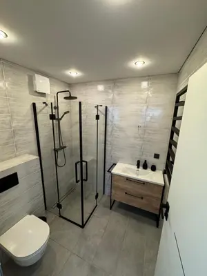 a bathroom with a shower and a toilet and a sink at Lamėsto Krantas in Saldutiškis