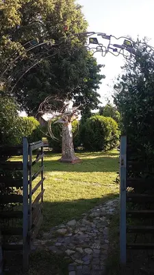 a tree in the middle of a field with a fence at Gallery Guest Rooms in Kernavė