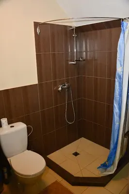 a bathroom with a shower with a toilet at Gallery Guest Rooms in Kernavė