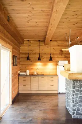 a kitchen with wooden walls and a ceiling with pendant lights at Pakaso sodyba, šiaurinė pusė in Kirdeikiai