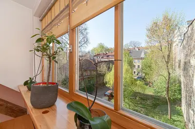 a window with two plants on a wooden table at Apartment with Sauna in Vilnius