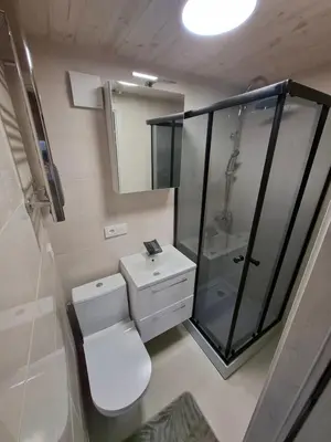 a bathroom with a toilet and a glass shower at TORA nameliai in Aukštadvaris
