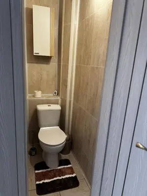 a small bathroom with a toilet and a mirror at Gold & Black in Kėdainiai