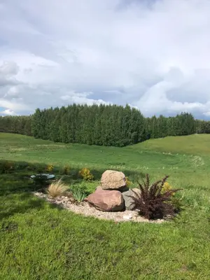 a rock garden in the middle of a field at Poilsio oazė Stebuliuose in Stebuliai