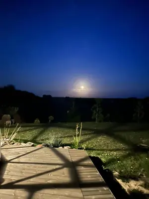 a moonlit view of a field at night at Atostogų namelis Stebuliuose in Stebuliai