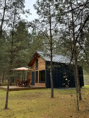 a cabin in the woods with a picnic table and trees at Local Forest in Vilnius