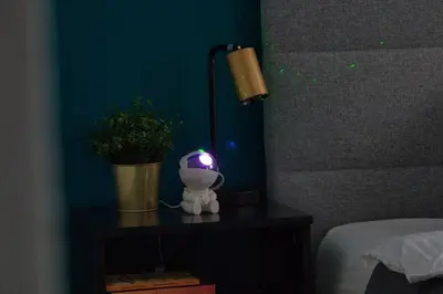 a table with a lamp and a potted plant on it at Blue Oasis and Wizard's Hideaway apartments in Kaunas