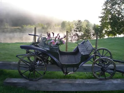 a horse drawn carriage with a basket of flowers at Senosios Gegužinės ūkis in Gegužinė