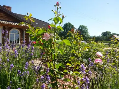 a garden with flowers in front of a house at Senosios Gegužinės ūkis in Gegužinė