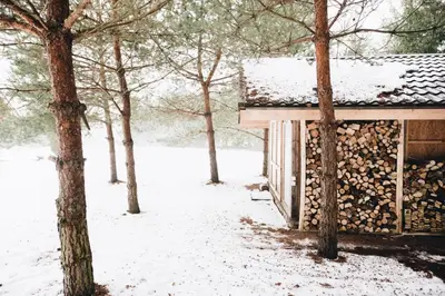 a pile of fire wood next to a building with trees at Pakaso sodyba in Kirdeikiai