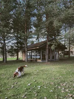 a dog laying in the grass in front of a house at Pakaso sodyba in Kirdeikiai