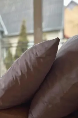 a couple of pillows sitting on top of a couch at Park Hostel in Šiauliai