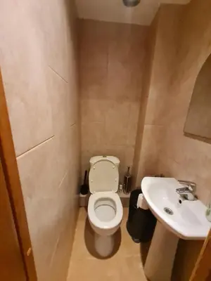 a small bathroom with a toilet and a sink at Apartamentai su jacuzzi in Vilnius
