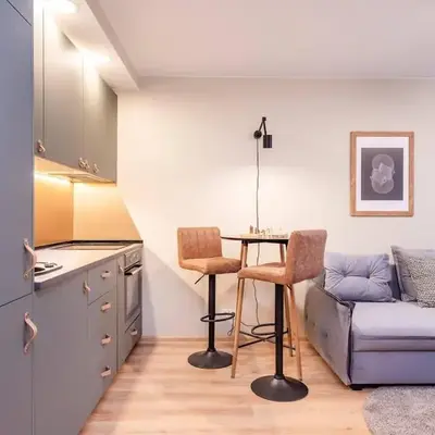Cozy flat in Antakalnis