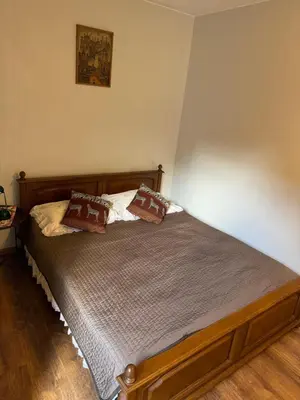 a bed with two pillows on it in a bedroom at Danarent Tilto in Vilnius