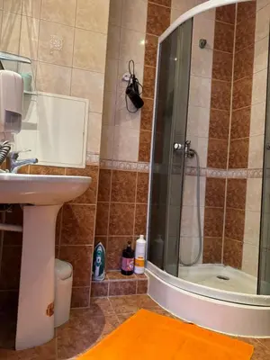 a bathroom with a sink and a shower at Danarent Tilto in Vilnius