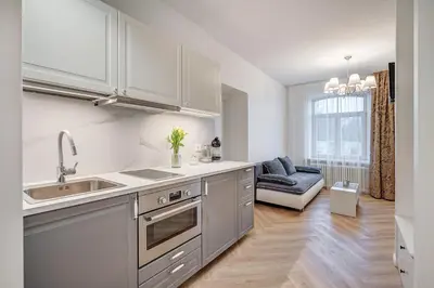 a kitchen with stainless steel appliances and a living room at Angel House Vilnius, 47 in Vilnius