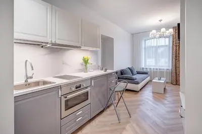 a kitchen with stainless steel appliances and a living room at Angel House Vilnius, 47 in Vilnius