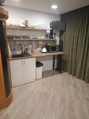 a kitchen with a sink and a counter with a microwave at Šermukšnis in Rokiškis