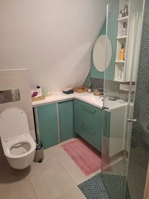a bathroom with a toilet and a sink and a shower at Šermukšnis in Rokiškis