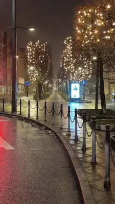 a city street at night with lights on trees at Kaunas Studios - RentA 19 in Kaunas
