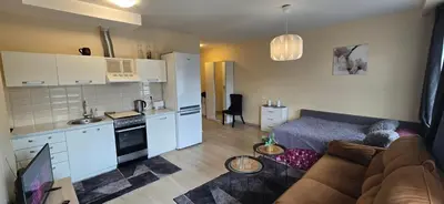 a living room with a couch and a kitchen at Švitrigailos gatvėje 1kambario butas naujos statybos name in Vilnius