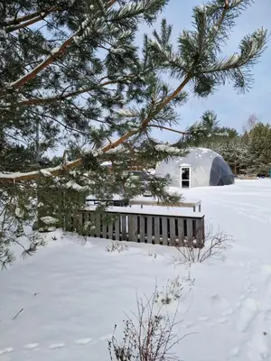 a snow covered yard with a yurt in the background at Rojus dviems in Žaugėdai