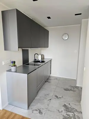 a kitchen with gray cabinets and a sink at Skyline Pearl Vilnius in Vilnius