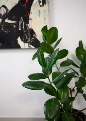 a green plant sitting next to a painting on a wall at King Mindaugas center apartment in Kaunas
