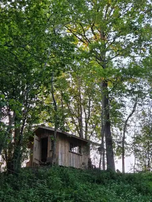 an old house sitting on top of a hill with trees at Terra Gratia - namukas Natūralistas in Nemeikšiai