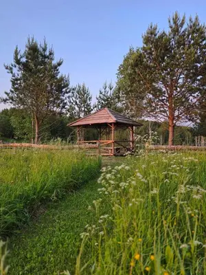 a wooden gazebo in the middle of a field at Terra Gratia - namukas Natūralistas in Nemeikšiai