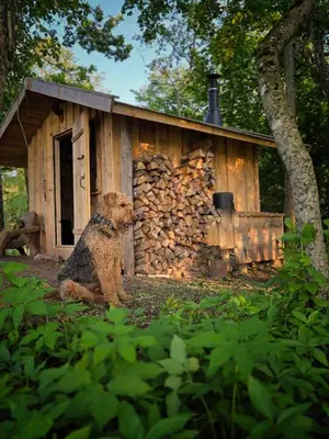 a dog sitting in front of a log cabin at Terra Gratia - namukas Natūralistas in Nemeikšiai