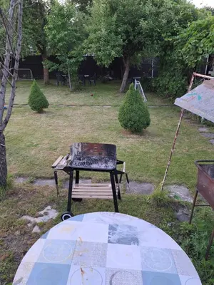 a picnic table in a yard with a picnic at Patrimpo in Magūnai