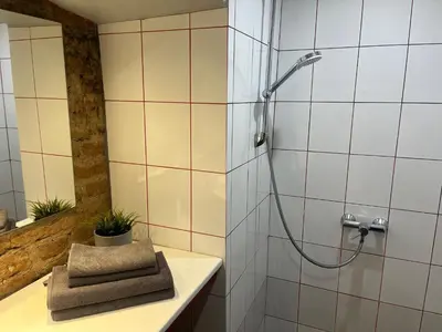 a bathroom with a shower and a sink at Old Town Loft in Vilnius