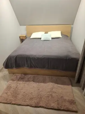 a bed with two pillows and a rug in a bedroom at Šermukšniai in Rokiškis