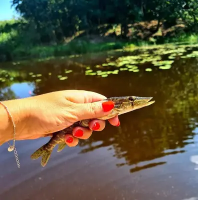 a hand holding a fish in front of a body of water at Sodyba Barracuda in Kupščiai