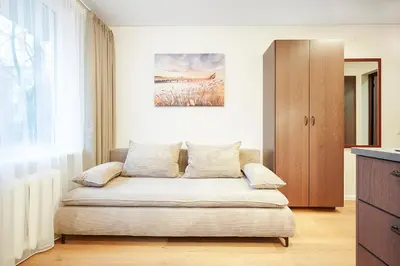 a living room with a couch in a room at Stylish studios near the city center in Vilnius