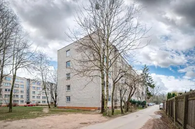 a white building with a tree next to a street at Apartment Dandelion by Polo Apartments in Kaunas