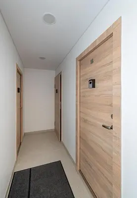 a hallway with a wooden door and a rug at Studio Apartment Flora by PoloApartments in Kaunas