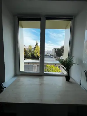 a room with a window with a potted plant at Cosy little studio in Šiauliai