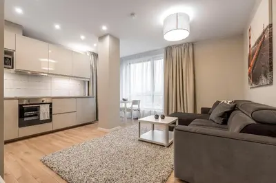 a living room with a couch and a kitchen at City center apartment, free parking, 149 in Vilnius
