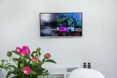 a living room with a tv and a vase with pink flowers at Spacious Cozy Studio, 3A in Vilnius