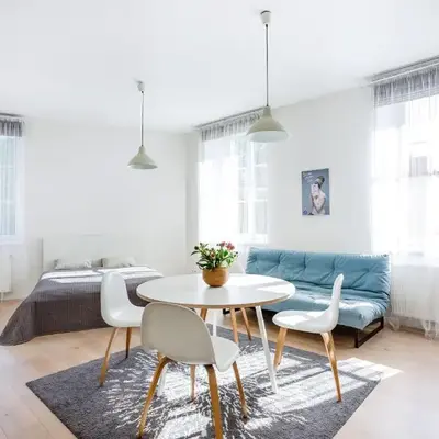 Spacious Cozy Studio