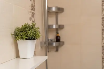 a potted plant sitting on a counter in a bathroom at OZO Park city center in Vilnius