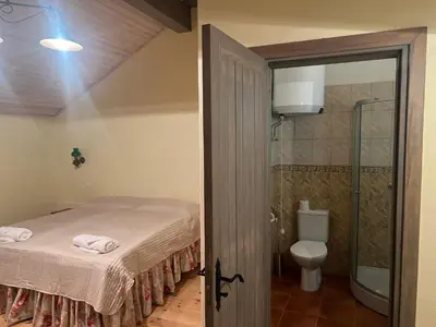 a bedroom with a bed and a shower and a toilet at Ledainė in Naujasodis