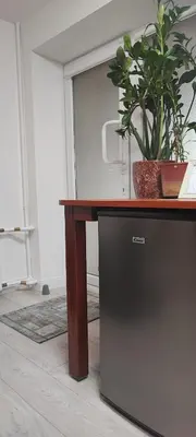 a wooden table with a potted plant on top of it at Honey Apartament in Druskininkai