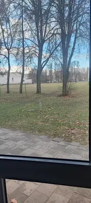 a view from a window of a park with trees at Amber Apartament in Druskininkai